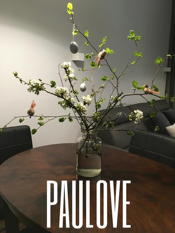 Apartament Paulove 克拉科夫 外观 照片