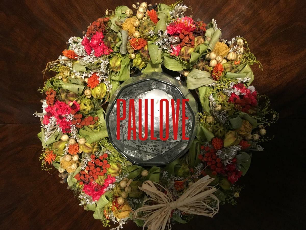Apartament Paulove 克拉科夫 外观 照片