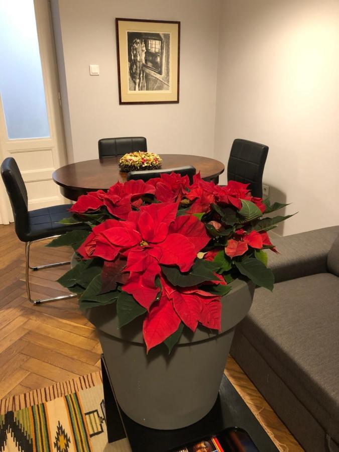 Apartament Paulove 克拉科夫 外观 照片